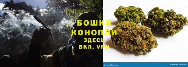 дмт Богданович