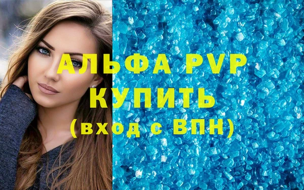 дмт Богданович