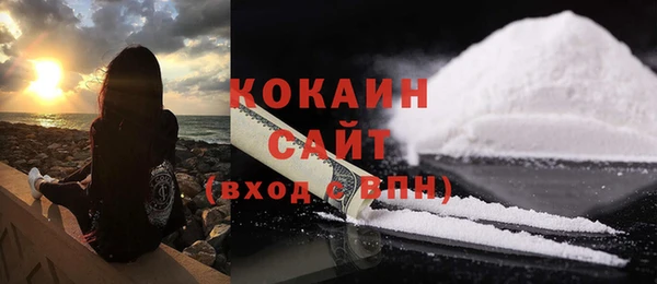 дмт Богданович