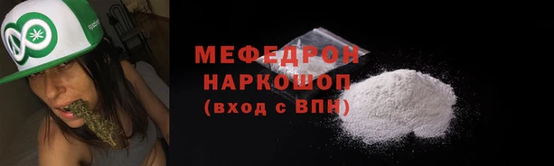 дмт Богданович