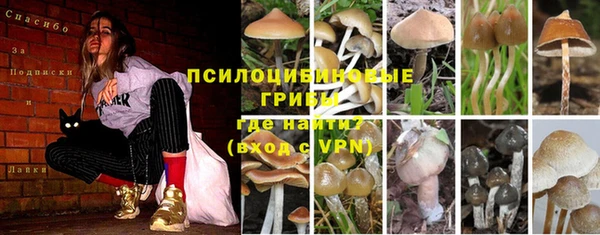 ALPHA-PVP Богородицк