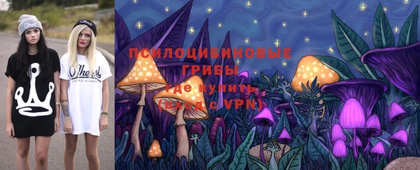дмт Богданович